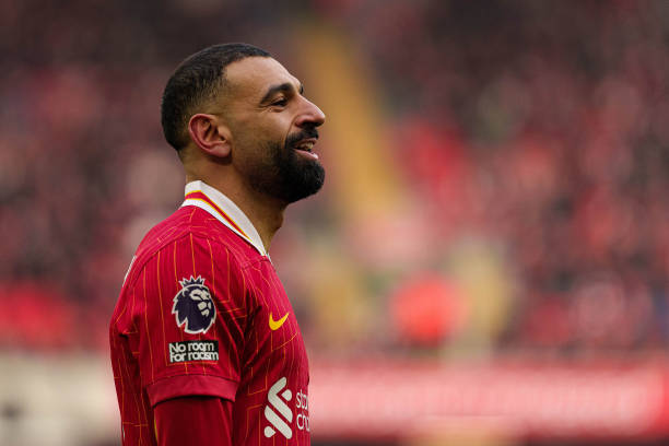 海湾人队的 海湾人队的