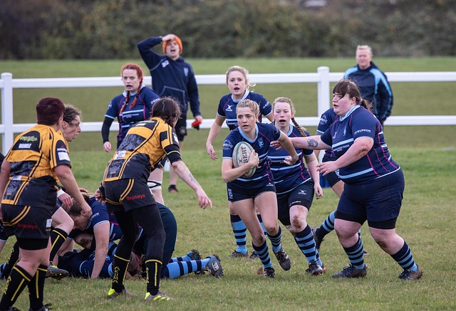 成功引进埃 成功引进埃